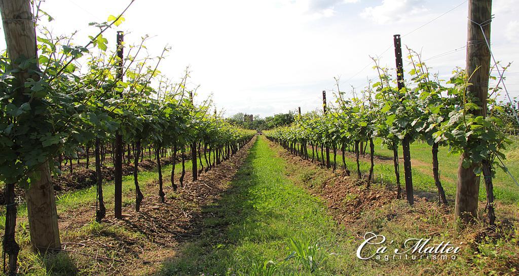 Agriturismo Ca'Mattei Pescantina Eksteriør billede