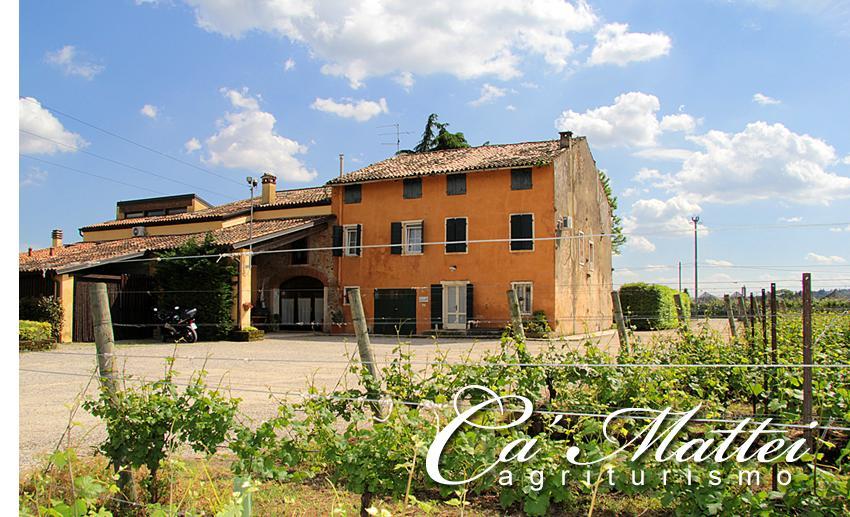 Agriturismo Ca'Mattei Pescantina Eksteriør billede