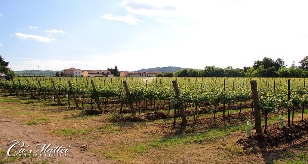 Agriturismo Ca'Mattei Pescantina Eksteriør billede